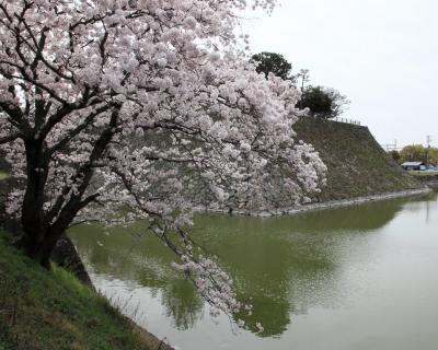 三原の春景　2016