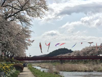 夏井の千本桜と、那須湯本