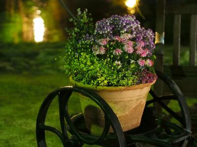 夜のフラリエ'16春