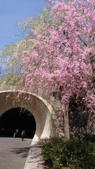 MIHO　MUSEUM