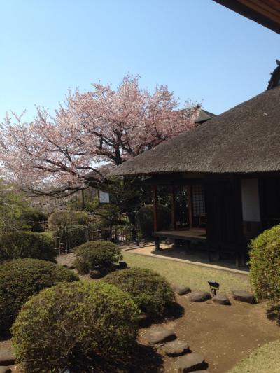 茨城県 世界遺産 に関する旅行記 ブログ フォートラベル 茨城県 世界遺産 に関する旅行記 ブログ フォートラベル