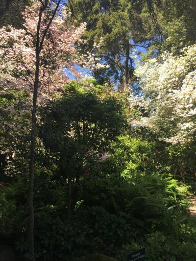 FILOLI フィロリ ガーデン♪