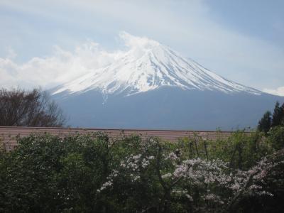 河口湖を見て久保田一美術館と河口湖ミューズ館・与勇輝館の見学をしました