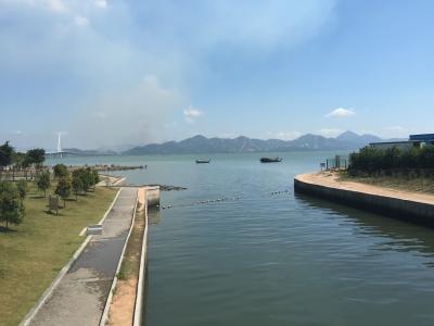 深圳灣公園紅樹林白石洲散歩