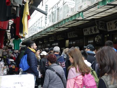 ２０１６年桜を満喫～東京へ③築地～浅草