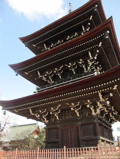 桜は満開、春の高山祭２