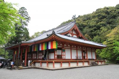 秘仏拝観　観心寺　如意輪観音菩薩、葛井寺　十一面千手観音菩薩、道明寺　十一面観音菩薩、野中寺　弥勒菩薩