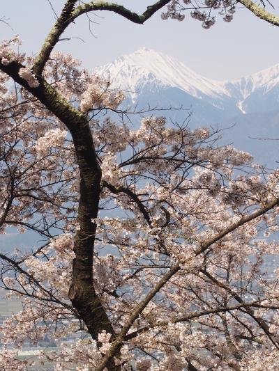 ハイキングデビュー♪～光城山お花見登山～