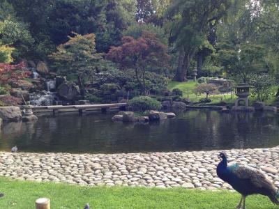  ［ロンドンの駅周辺散策 23］Notting Hill&Holland park