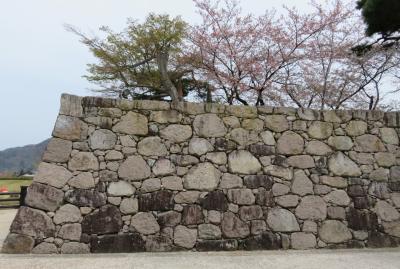 2016春、信州の桜と城(24/28)：4月16日(10)：松代城(2)：高石垣、松代城下町
