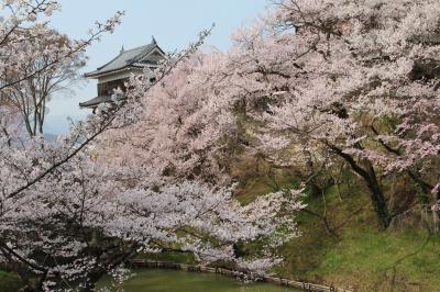 テレビドラマ真田丸で賑う上田城址公園の桜祭り