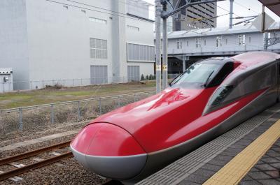 2016年春の帰国旅行 その③ 新幹線/特急列車、グランクラス/グリーン車