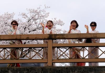 2016.4富山に白えびを食べに行く3-松川遊覧船に乗る，とやま方舟で昼食