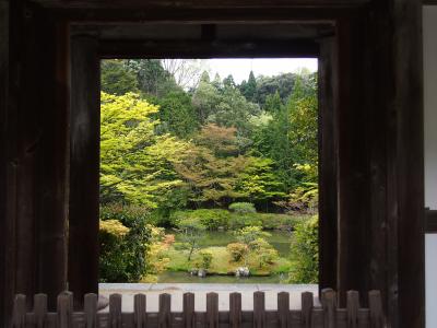 春過ぎて、夏来たるらし・・・新緑の奈良の古道を歩く旅。～１日目・滝坂の道～