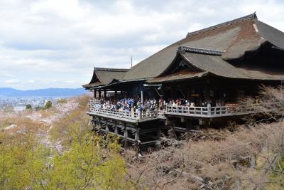 １泊2日の京都三人旅！お花見リベンジ