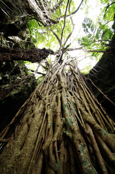 夏がくる前の沖縄旅行!