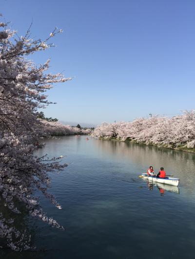 弘前公園 桜満開