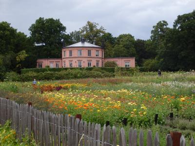 ストックホルム女一人旅～２日目～