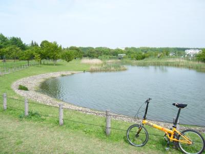 調布・三鷹・小金井 新緑のサイクリング