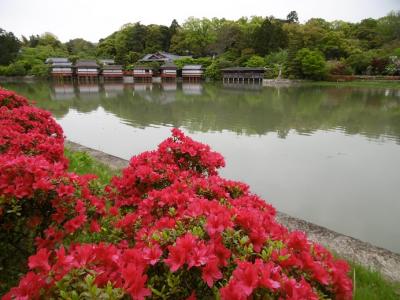 長岡天満宮と古都の旅