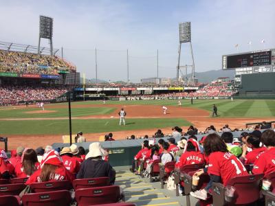 初めてのプロ野球観戦