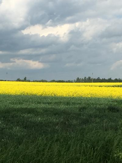 ユーラシア大陸横断 13、十字架の丘へ