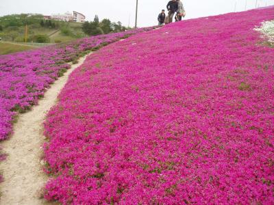 想い出トリップ(秘湯・大森公園温泉)