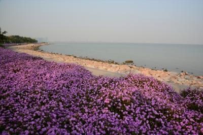 深セン南山区★深セン湾公園さんぽ2　深セン湾公園（婚慶公園～潮汐公園～日出劇場～弯月山谷～流花山公園）～后海駅　