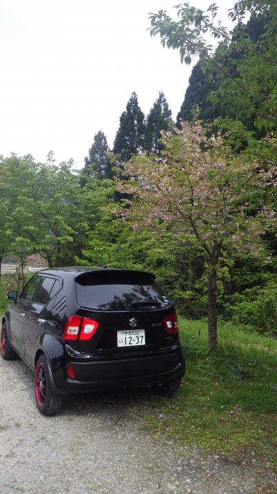 前日納車で、さっそく今日は香住でカニを食べよう！