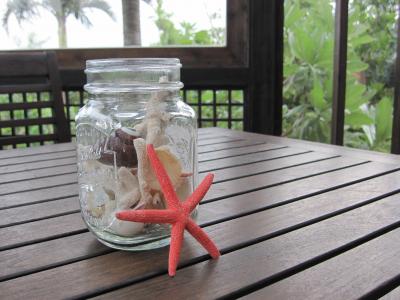 日常から遠く離れてのんびり八重山諸島５島めぐり　①小浜島到着の巻