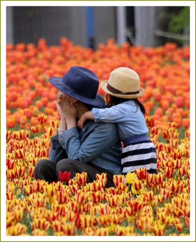 Solitary Journey［1754］感動の花風景！75万本のチューリップが満開でした♪＜虹の畑・初恋の丘／世羅高原農場＞広島県世羅町