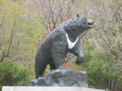 韓国　「行った所・見た所」　束草の雪岳山小公園と新興寺