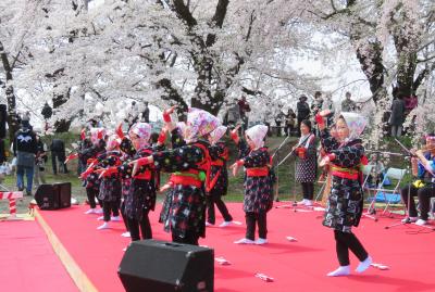 2016春、奥羽の桜(16/38)：4月23日(7)：仙北市(7)：角館、染井吉野、紫木蓮、手踊り