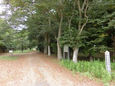 御茶屋御殿跡　（千葉市）