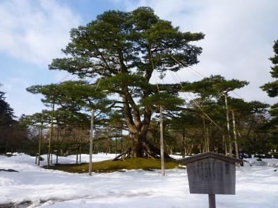 飛騨高山・金沢・白川郷1泊2日バスの旅 ② ～金沢編～