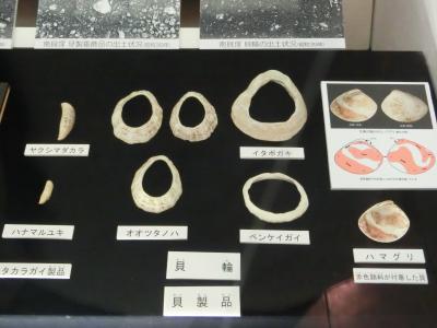 加曽利貝塚博物館