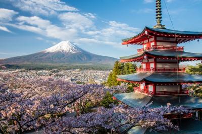 桜と富士山を撮り歩く　（１）海外観光客に人気抜群の富士山ビュースポット