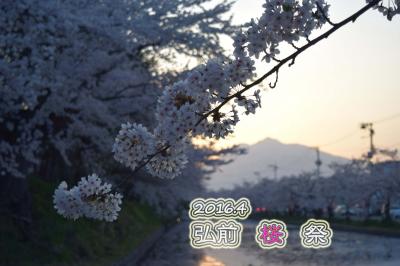 ●2016　弘前城桜まつり●