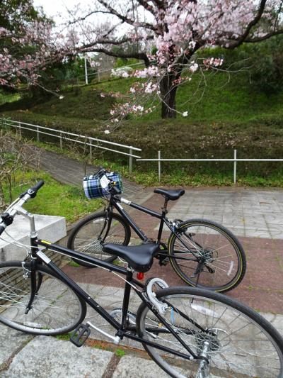 武蔵丘陵森林公園サイクリングロードを走り春の風を浴びる、熊谷桜堤で桜と菜の花の共演を愛でる/埼玉・比企、熊谷