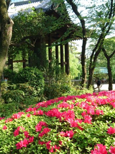 東京で神社仏閣&御朱印めぐりです~前編~矢先稲荷神社・東本願寺・春日神社・芝東照宮・増上寺
