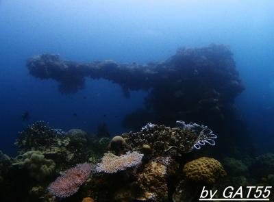 71年前の戦場へトラック諸島でDIVE！～朽ち果てゆく特設航空機運搬艦 富士川丸(FUZIGAWA MARU)～