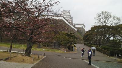 彦根から姫路、赤穂盛り沢山旅