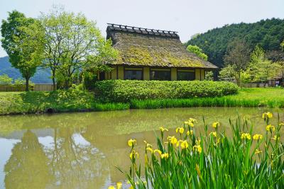 陽気に誘われて丹波篠山をちょこっと散歩♪　～お菓子の里丹波にも足を延ばして～