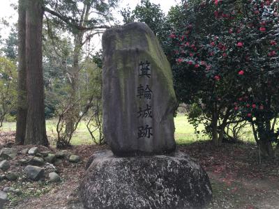 青春18きっぷで行く週末日本百名城巡り二週目　イノシシが出るかもしれない桜咲く箕輪城跡へ