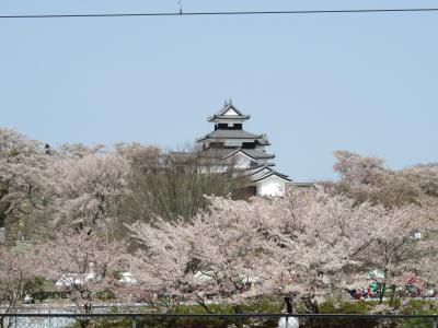 うつくしま・福島の花の名所を巡る～白河小峰城編～