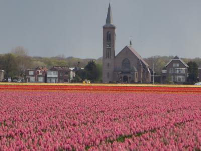 花と緑に囲まれるベルギー・オランダ満喫(3)