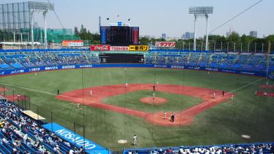 東京六大学野球観戦　主役の選手たちも、陰で支える応援団も、気温も、辛いものも、すべてアツイ！！