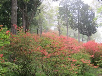 今年も皇鈴山ハイキングを行う①小川町～内手～二本木峠～愛宕山～皇鈴山