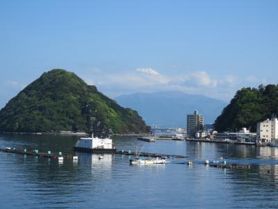 伊豆沼津三津温泉へ家族旅行③沼津三津浜付近の散策