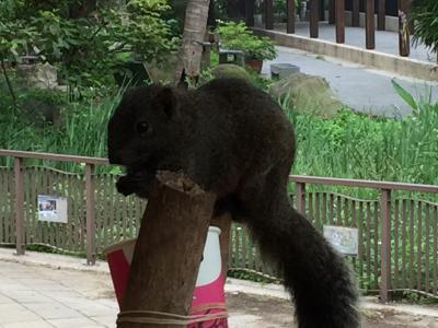 2016台湾 vol.04 台南(市内観光)